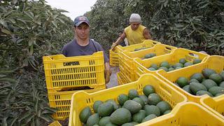 Ley agraria: Se posterga el debate del predictamen una semana