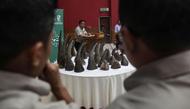 los cuernos de rinoceronte es un producto de mucha importancia para los asiáticos en la medicina tradicional. Además, de ser vital para la lucha contra el cáncer. | Foto: EFE