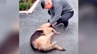 El reencuentro de una ex perrita policía con su entrenador emociona a miles en las redes