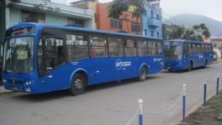 Corredor azul: gestionan terreno para buses por Av. Amancaes