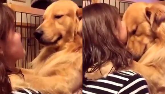 Mira la adorable reacción de un perrito con su nueva familia tras ser adoptado | Composición: @atr_ahre/ Twitter