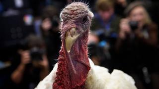 5 tradiciones del Día de Acción de Gracias en Estados Unidos (además de comer pavo)