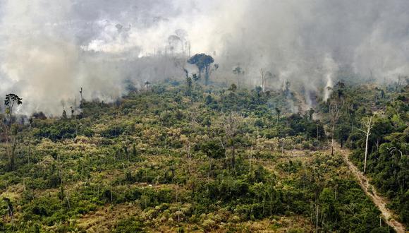La deforestación es el principal desafío que enfrenta la Amazonía peruana (Foto: CARL DE SOUZA / AFP).