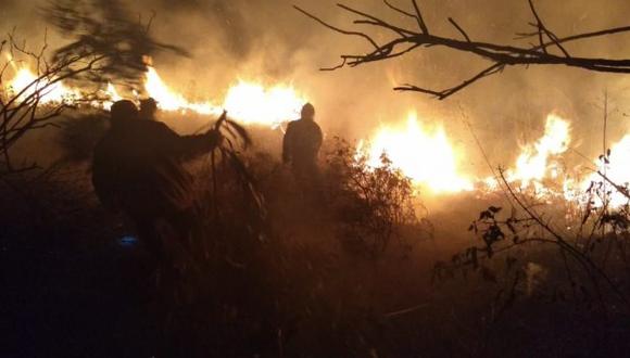 Incendios forestales: las emergencias ocurridas esta semana en el país