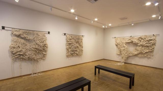 Artista realiza sorprendentes trabajos con sogas - 2