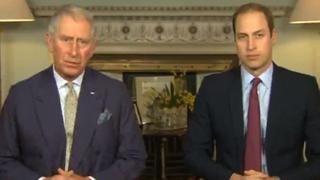 Príncipe Carlos y su hijo William al rescate de los animales