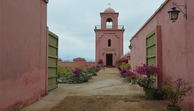 Finalmente, no te puedes despedir de Ica sin visitar sus viñedos. Una buena opción es conocer la hacienda Tacama, donde conocerás el proceso de elaboración del vino y el pisco, además de disfrutar las delicias gastronómicas de la zona. (Foto: Shutterstock)