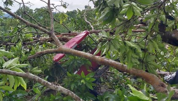 Un fuerte temporal de lluvia derribó árboles que aplastaron vehículos dejando una persona herida de consideración (Foto: Hugo Anteparra)