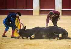 España: aprueban ley que prohíbe sufrimiento del toro en las corridas