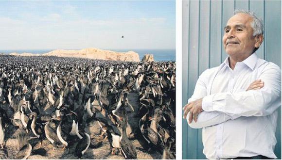 El guardaislas que protegió a las aves y a su guano por 34 años