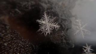 YouTube: video muestra cómo se forma un copo de nieve