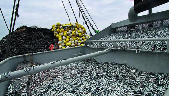 La cuota para consumo humano podrá ser modificado en función al seguimiento permanente de la pesquería de anchoveta que realiza el Instituto del Mar del Perú. (Foto: GEC)