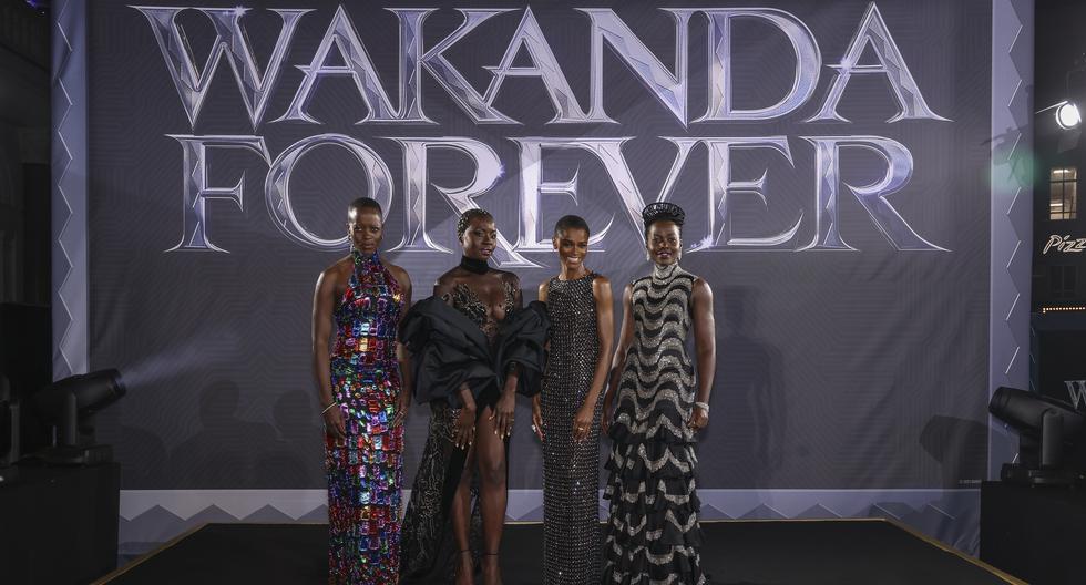 “Black Panther 2: Wakanda Forever”: who stars in the film after the death of Chadwick Boseman?