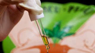 México en la cima de la “fiebre verde” de la marihuana legal