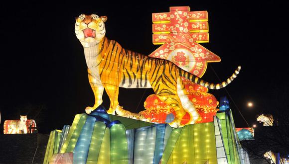 El año nuevo Chino 2022 será representado por el Tigre de Agua, el cual llegará cargado de mucha prosperidad  (Foto: AFP)