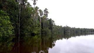 Reserva Nacional Tambopata: conoce los encantos de esta área protegida