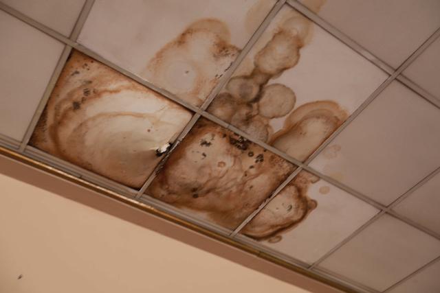 (Municipalidad de Lima)