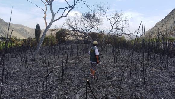 Incendio forestal en Huarmey (Foto: COER)
