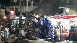 Elefantes descontrolados durante festival budista en Sri Lanka