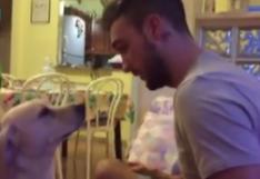 YouTube: perro pide perdón 'apasionadamente' | VIDEO