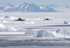 "La Antártida fue un continente verde", afirma científico 