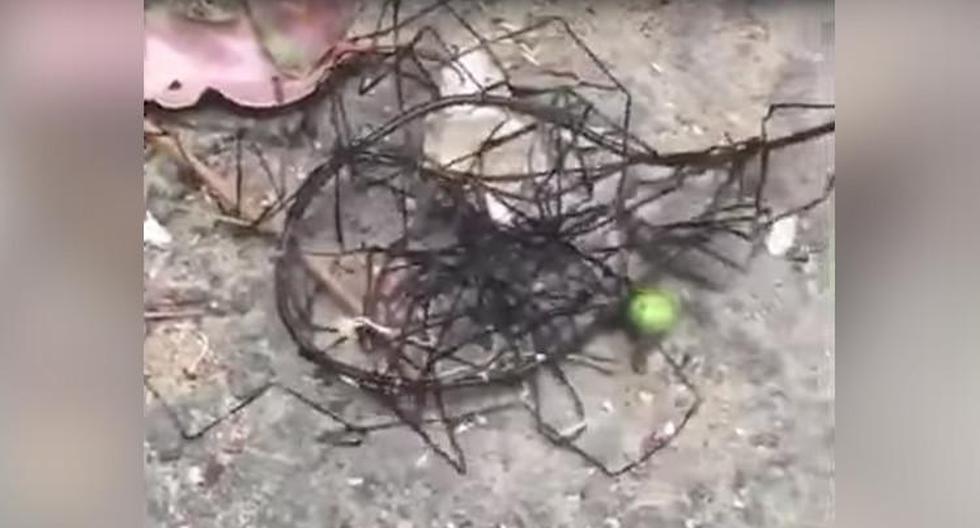 Una mujer colgó un video en YouTube en el que un extraño animal desconocido se arrastra entre unas rocas en Taiwán. Su escalofriante aspecto dejó a muchos aterrado. (Foto: YouTube)