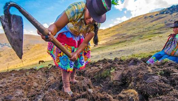 Conoce el último día para cobrar el bono Wanuchay. (Foto: Andina)