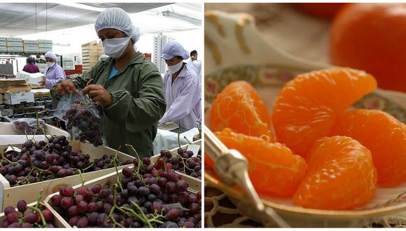 Indonesia le abre sus puertas a uvas y mandarinas peruanas