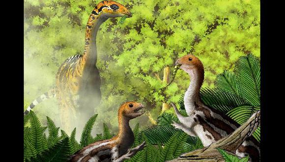 Se cree que cuando era joven el limusaurus era un comedor de carne omn&iacute;voro. Pero al volverse adulto y perder los dientes se convert&iacute;a en herb&iacute;voro. (Foto: Reuters)