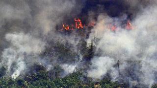 Bolsonaro ordena que Fuerzas Armadas combatan incendios en la Amazonía