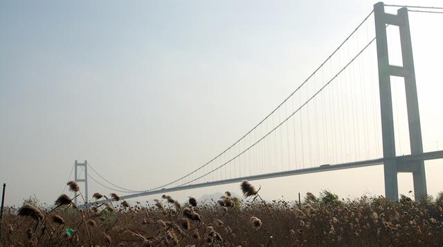 Gran recorrido: Conoce los puentes más largos del mundo  - 5