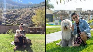 WUF: 5 hospedajes ‘pet friendly’ para salir de la rutina con tu mascota 