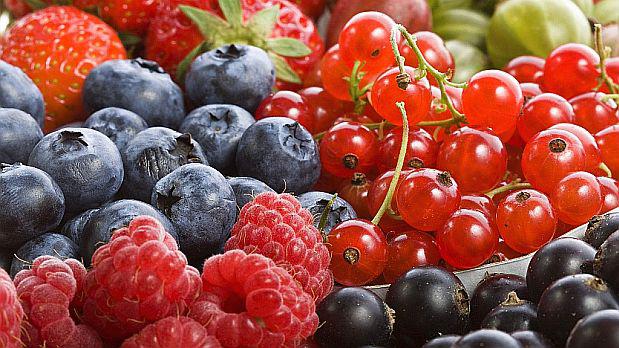 Exportación de arándanos cerraría este año en US$200 millones