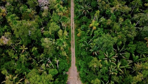 La extensión de la carretera del Manu, desde Puerto Shipetiari hasta Boca Manu, fue aprobada oficialmente en 2018 y recientemente ha sido construida a través de la Comunidad Nativa Diamante. Foto: Cortesía de Eilidh Munro.