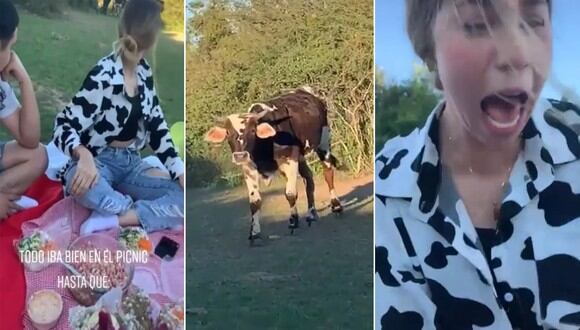 Una joven fue perseguida por una vaca y su reacción se volvió viral. | FOTO: @martineznubiaa / TikTok