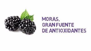 Facebook: video explica por qué es bueno comer moras