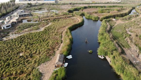 El humedal Pantanos de Villa es un lugar de anidación y punto de tránsito migratorio de más de 200 especies de aves. (Foto: Municipalidad de Lima)