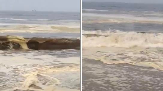 Alertan presencia de marea roja en playas del sur chico