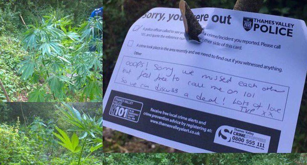 Esta es la nota curiosa que dejó la policía británica tras destruir cultivos de marihuana (@ThamesVP)
