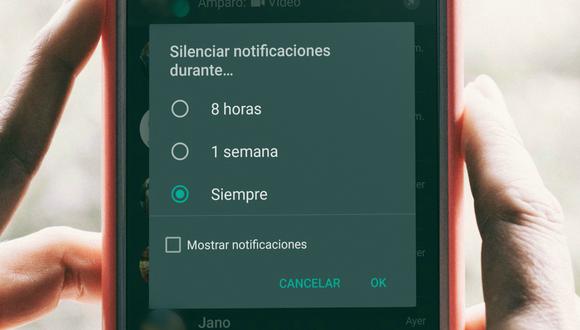 WhatsApp: cómo silenciar grupos y chats para siempre en la aplicación |  Beta | Apps | Celulares | Smartphones | Estados Unidos | México | nnda nnni  | DATA | MAG.