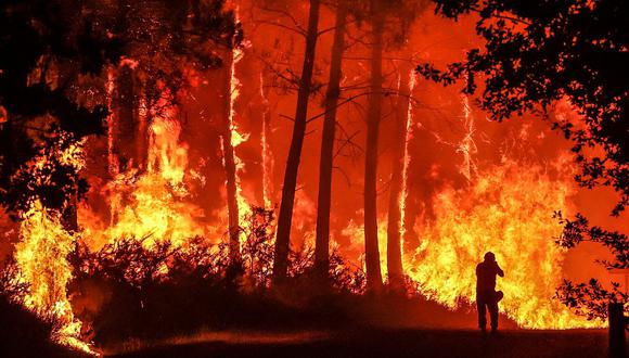 Los fuegos en los que se quema vegetación son los más frecuentes, pero también hay incendios sin llamas.