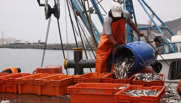 Produce puede suspender el Régimen Provisional de Pesca establecido por razones de conservación del recurso, en función a los factores biológicos-pesqueros y/o ambientales que estime el Imarpe.