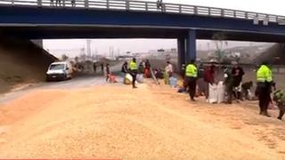 Panamericana Sur: reportan congestión vehicular por volcadura de camión en el Km 56.5 | VIDEO