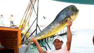 Produce busca regular extracción del perico a través de nuevo reglamento de ordenamiento pesquero