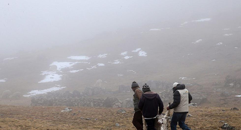 Senamhi reveló que Mazocruz, ubicado en Puno, registró una temperatura mínima de -16.9 grados. (Foto: Agencia Andina)