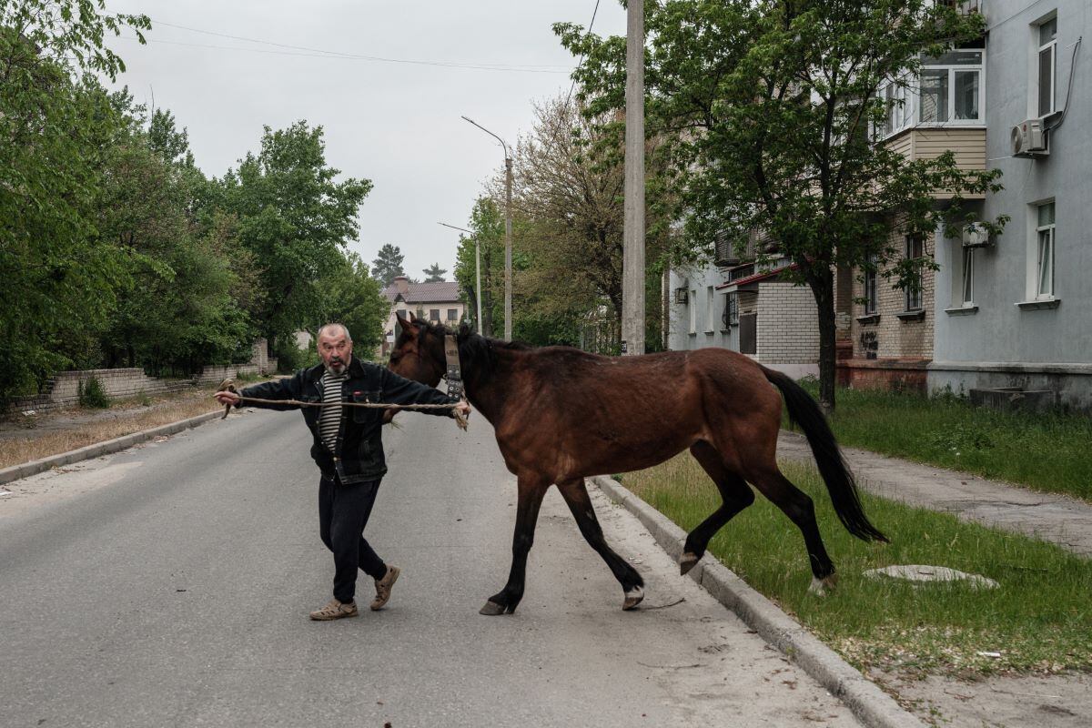 A man takes his horse during a shelling in Severodonetsk, eastern Ukraine, on May 18, 2022. (Yasuyoshi CHIBA / AFP)