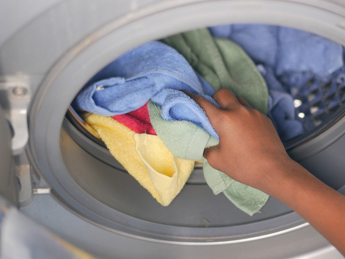 Cómo quitar pelos de mascota de la lavadora y la secadora, Truco de  limpieza, RESPUESTAS