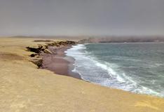 Erupción en Tonga: cierran la Reserva Nacional de Paracas por oleajes anómalos 