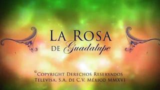 "La rosa de Guadalupe" se convierte en programa más visto en México