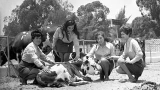 Agropecuaria de La Molina, nostalgia de una feria que pudo ser tan grande como la Feria del Hogar